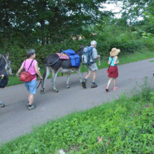 Promenade avec des âne droite