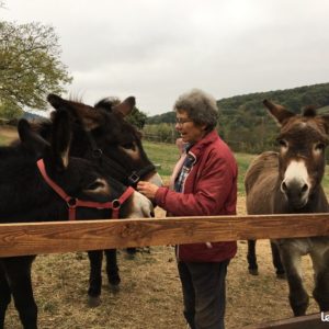 Pascale au milieu de ses ânes